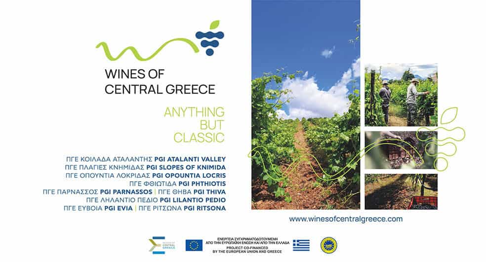 Wines of Central Greece